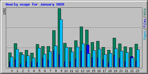 Hourly usage for January 2026